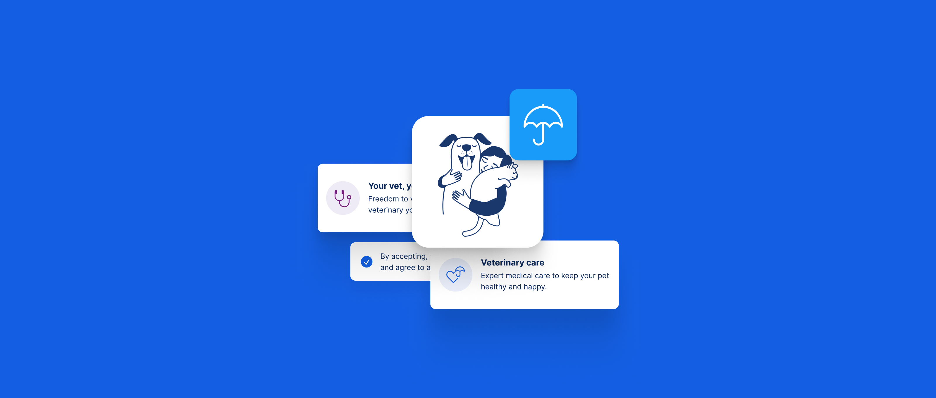Pet Insurance Reimagined case study preview